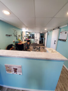 Reception desk with grooming stations in the background
